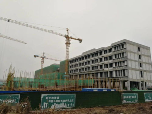淄博市新體校建設項目 珠峰之巔｜黨建引領下的施工安全的領航者